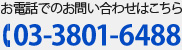 お電話でのお問い合わせはこちら 03-3801-6488