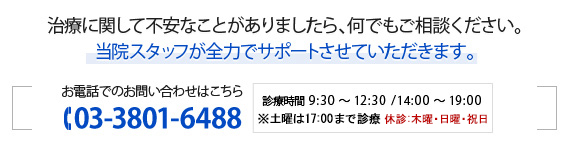 お電話でのお問い合わせはこちら 03-3801-6488