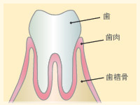 トラブルのない健康な状態